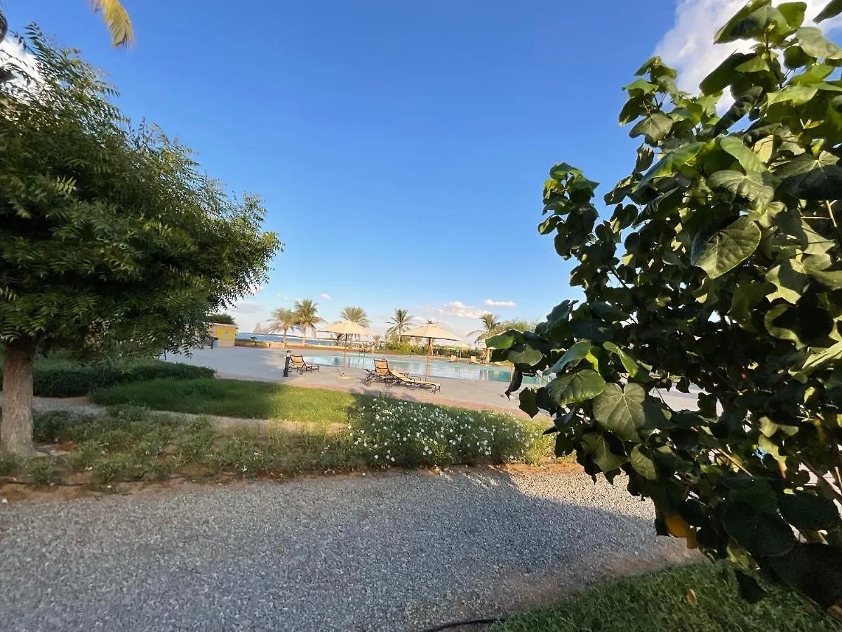 Amazing 1 Bedroom Apartment Next To The Beach Ras al-Khaimah 0*,  United Arab Emirates